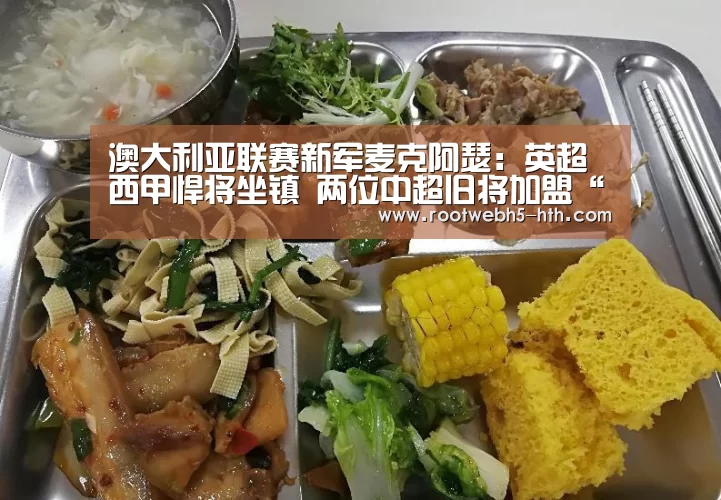 澳大利亚联赛新军麦克阿瑟:英超西甲悍将坐镇 两位中超旧将加盟“华体会”(图5) 华体会app