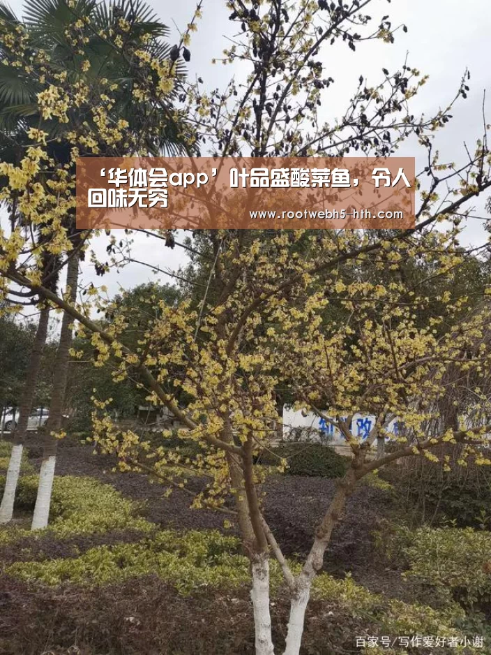 ‘华体会app’叶品盛酸菜鱼,令人回味无穷(图3) 华体会