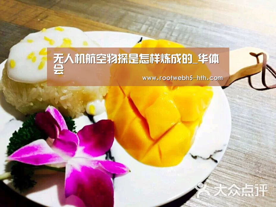 无人机航空物探是怎样炼成的_华体会(图2) 华体会app