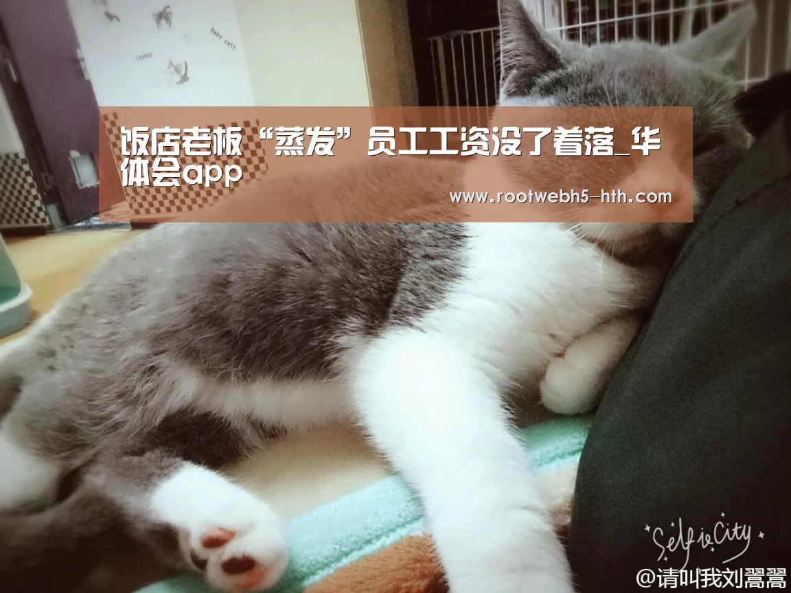 华体会