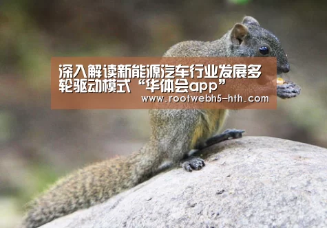 深入解读新能源汽车行业发展多轮驱动模式“华体会app”(图1) 华体会