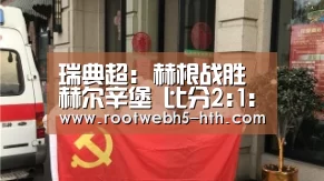 瑞典超: 赫根战胜赫尔辛堡 比分2:1:华体会app(图1) 华体会