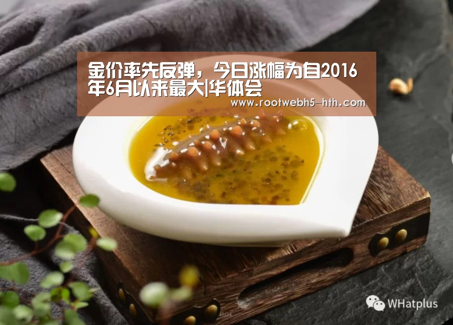 金价率先反弹,今日涨幅为自2016年6月以来最大|华体会(图1) 华体会