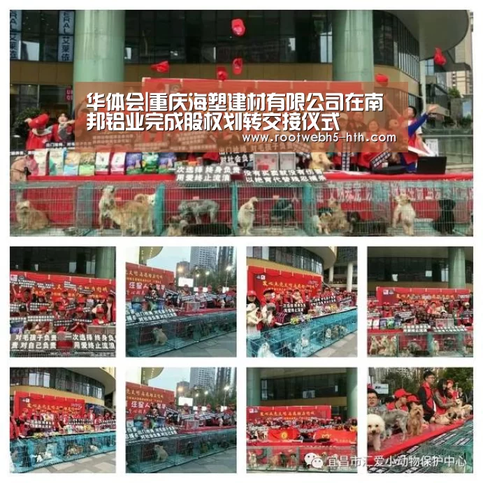 华体会|重庆海塑建材有限公司在南邦铝业完成股权划转交接仪式(图1) 华体会