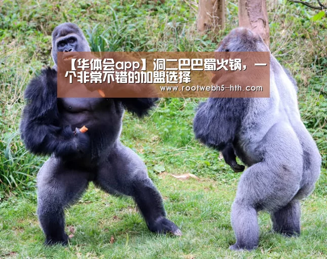 【华体会app】洞二巴巴蜀火锅,一个非常不错的加盟选择(图1) 华体会