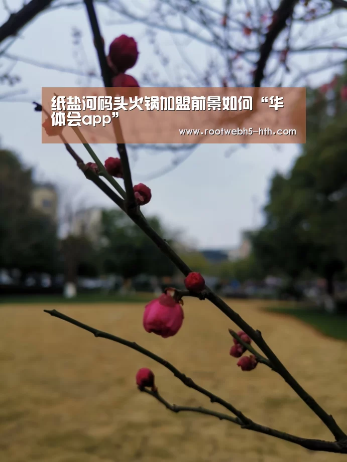 纸盐河码头火锅加盟前景如何“华体会app”(图2) 华体会