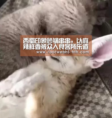 西蜀印象砂锅串串,以麻辣鲜香被众人食客所乐道-华体会(图2) 华体会