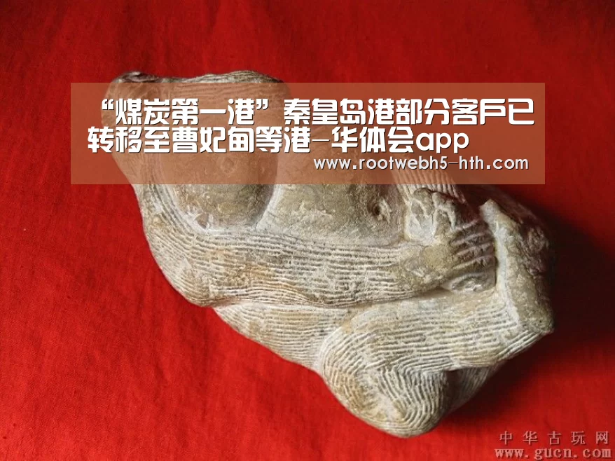 “煤炭第一港”秦皇岛港部分客户已转移至曹妃甸等港-华体会app(图2) 华体会app