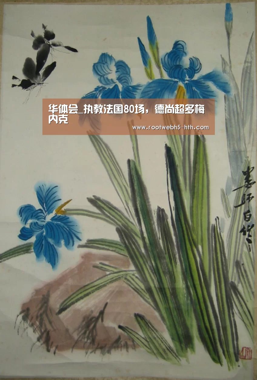 华体会_执教法国80场,德尚超多梅内克(图2) 华体会app