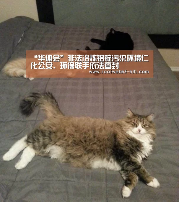 “华体会”非法冶炼铝锭污染环境仁化公安、环保联手依法查封(图2) 华体会app